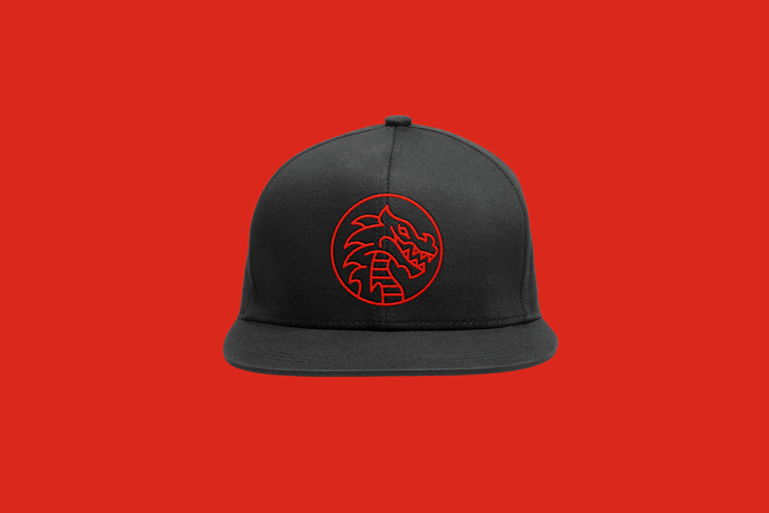 1100x734-dragon-silownia-merch-czapka